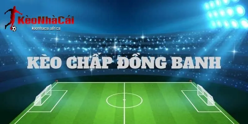 Cách tính tiền cược và kết quả trận đấu