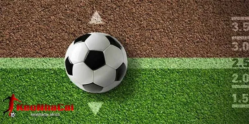 keo tai Kèo tài xỉu