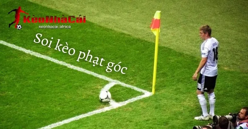 quan ly von cuoc va chien luoc dat cuoc Quản lý vốn cược và chiến lược đặt cược
