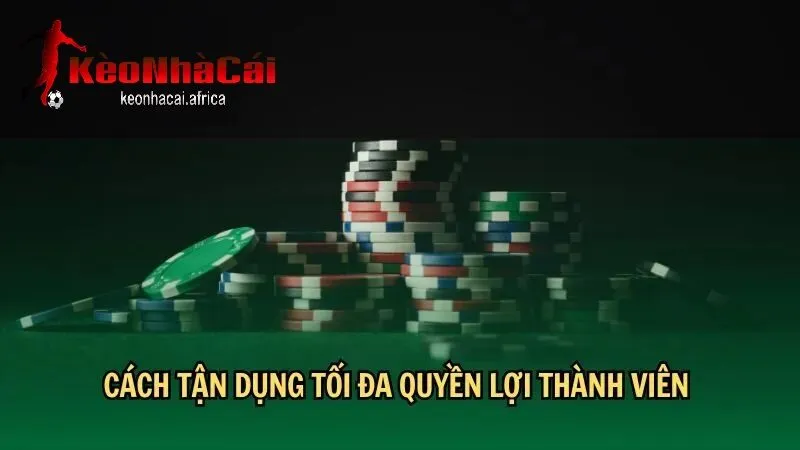 tan dung toi da uu dai va chien luoc ca cuoc Tận dụng tối đa ưu đãi và chiến lược cá cược