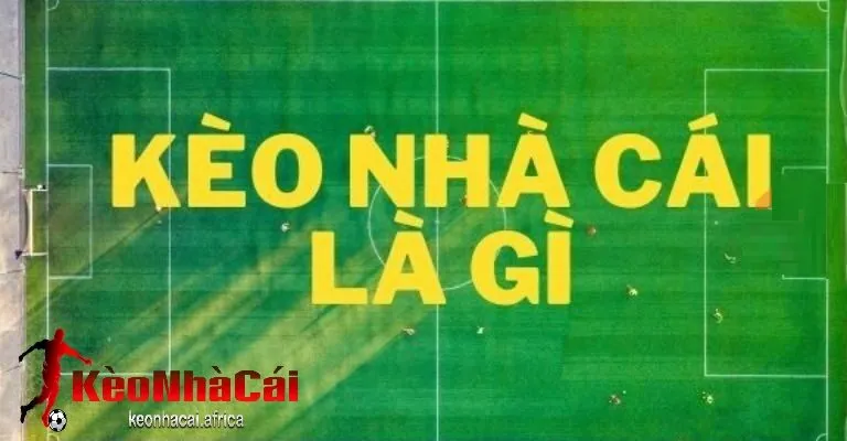vai tro cua keonhacai trong viec cung cap thong tin keo cuoc Vai trò của keonhacai trong việc cung cấp thông tin kèo cược
